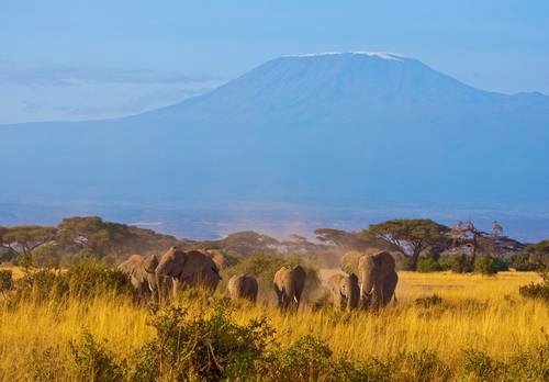 The top 10 trips of a lifetime