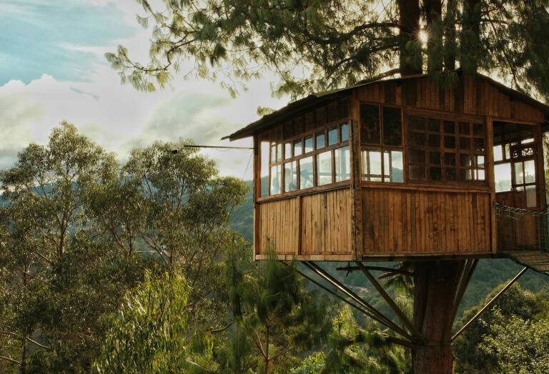 How to Build a Treehouse: Step-by-Step Instructions for Beginners